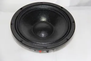 10-tums 300W RMS NEO Pro Audio Högtalare Subwoofer