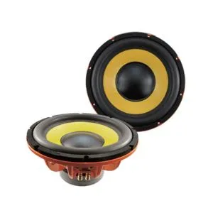 12 tums högprestandahögtalare med hög prestanda